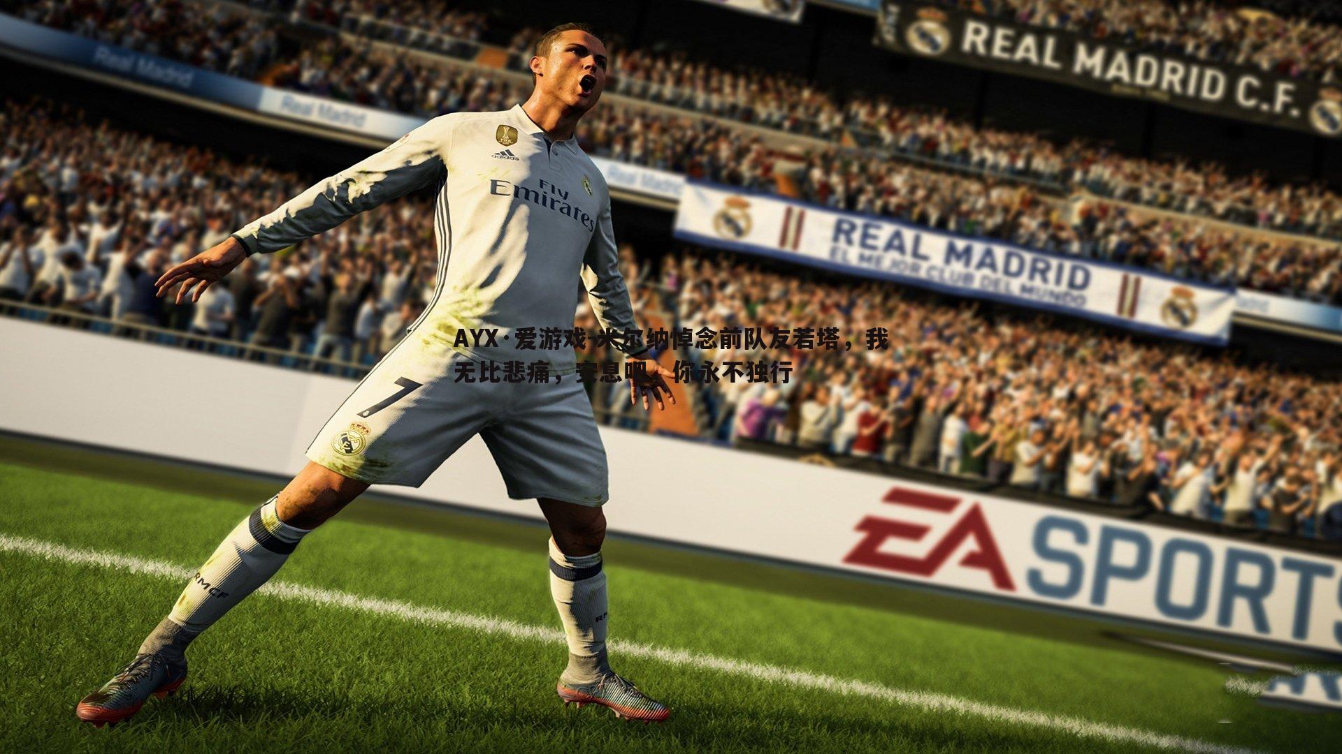 米尔纳悼念前队友若塔,我无比悲痛,安息吧,你永不独行